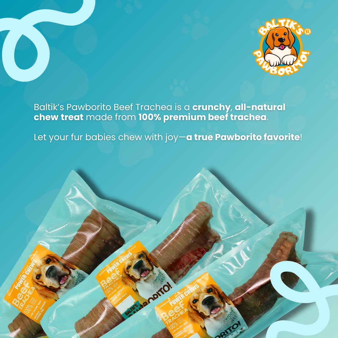 Beef Trachea