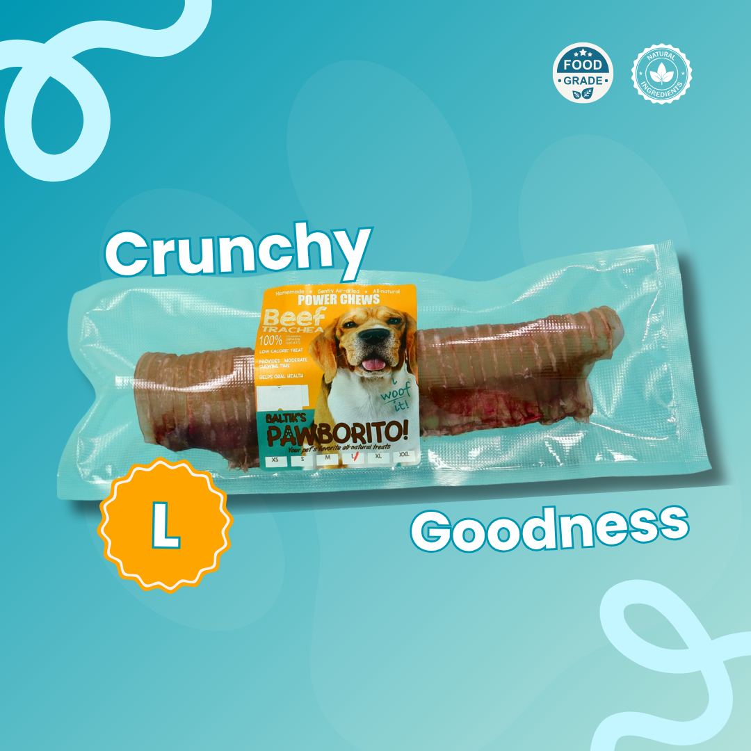 Beef Trachea
