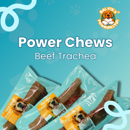 Beef Trachea